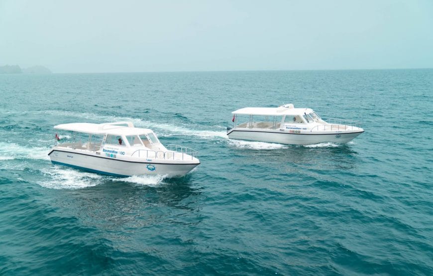 Private Boat Cruise