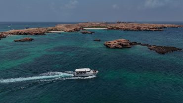 Discovering Paradise: Dimaniyat Island Tour Guide