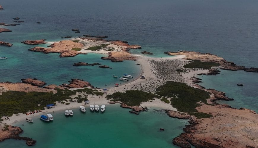 Daymaniyat Islands Tour Price from Muscat: A Complete Guide